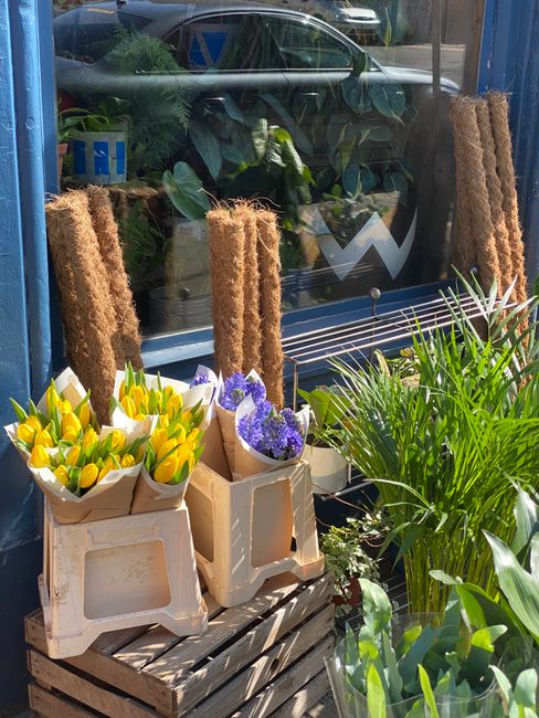An arrangement of yellow tulips and purple hyacinths, neatly packed in beige paper wraps, resting on white plastic crates outside a flower shop. Behind the crates, there are three tall, brown, fuzzy f
